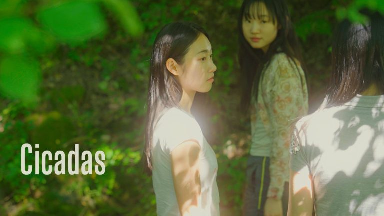 Cicadas - seriesgl.com